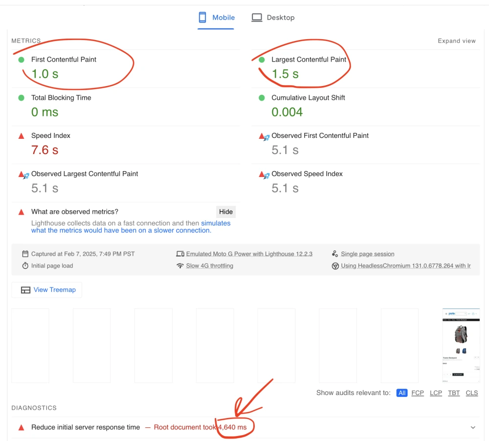 Magento 2 Hyva Google Page Speed Scam